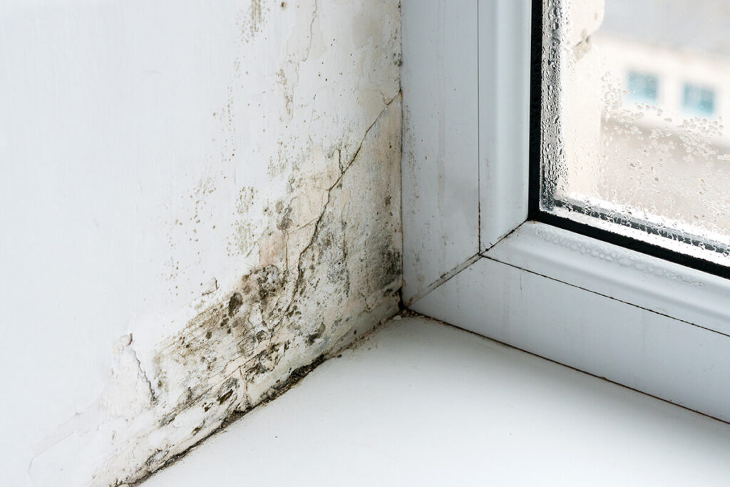 Mold and mildew forming next to window