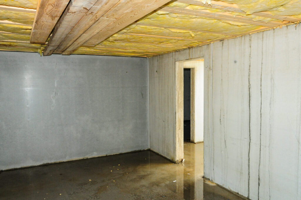 A basement with humidity issues evident on the walls. 