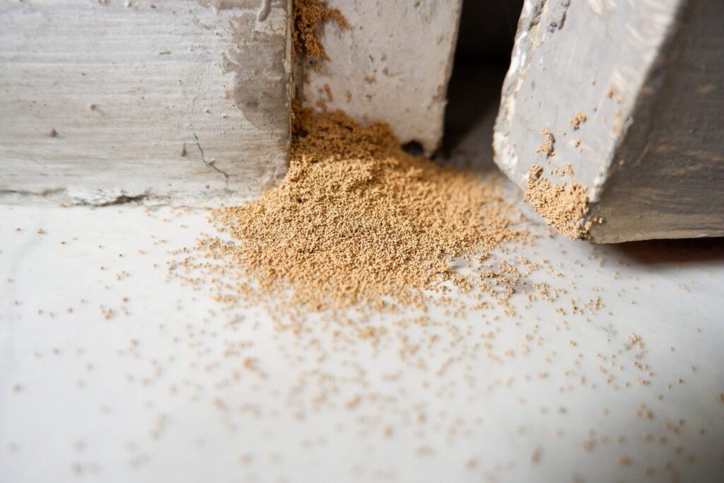 A pile of chewed up wood that may be evidence of termites 